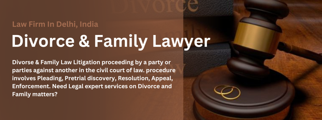 Family Lawyer